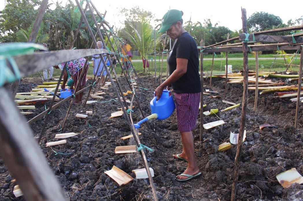 Ibu Elisabeth cultivating her home garden using some of the techniques she learned at the Women’s School. (Photo: Perkumpulan Petrus Vertenten Msc Papua)