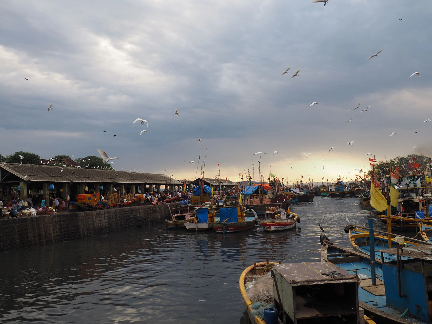 The photo shows boats in the water at Sassoon Docks, Mumbai—one of the city's oldest fishing harbors, where local communities depend on for their livelihoods. TAF's work in India supports coastal and fishing communities through the Indian Coastal Alliance.