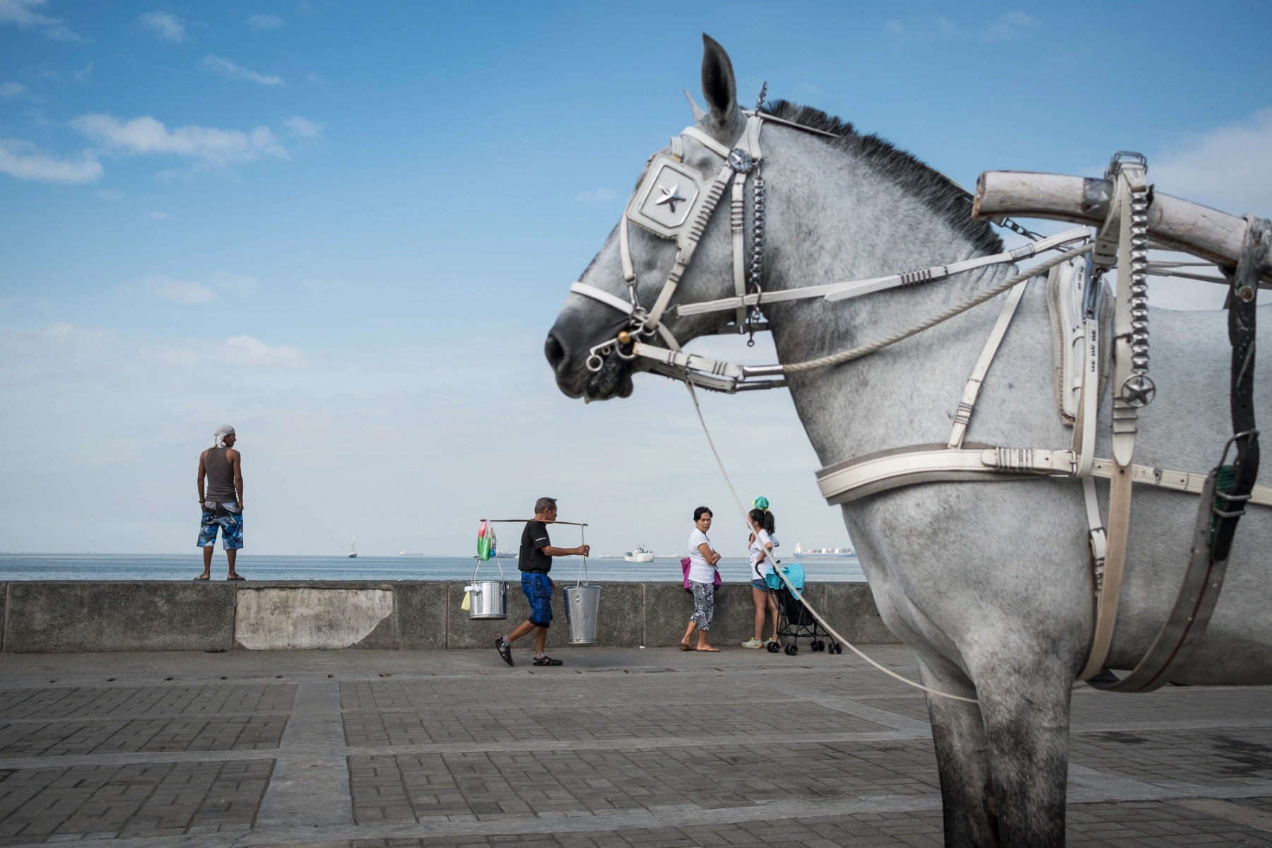 Manila Bay, Philippines—TAF in the Philippines works with local leaders across the country to advance policy reform.
