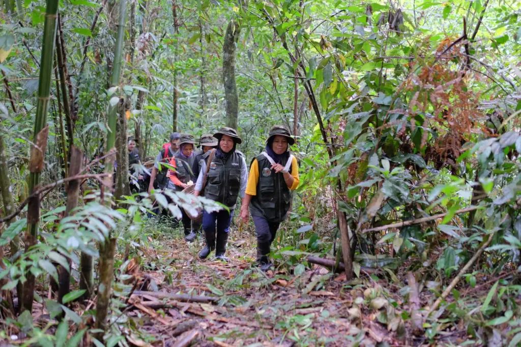 Women forest defenders conduct a forest monitoring patrol in South Sumatra as part of the Women Forest Defenders program implemented by PINUS Sumsel. Supported by Fondation Chanel, the program strengthens women's capacity in forest management, green entrepreneurship, and participatory forest monitoring.